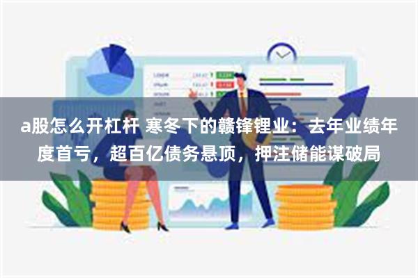 a股怎么开杠杆 寒冬下的赣锋锂业：去年业绩年度首亏，超百亿债务悬顶，押注储能谋破局