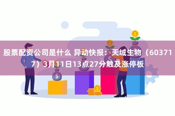股票配资公司是什么 异动快报：天域生物（603717）3月11日13点27分触及涨停板