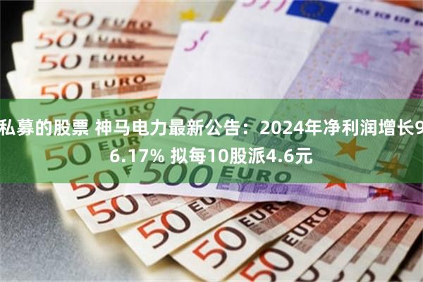 私募的股票 神马电力最新公告：2024年净利润增长96.17% 拟每10股派4.6元