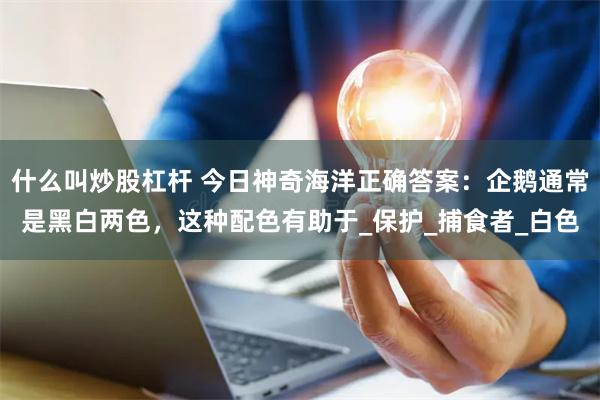 什么叫炒股杠杆 今日神奇海洋正确答案：企鹅通常是黑白两色，这种配色有助于_保护_捕食者_白色