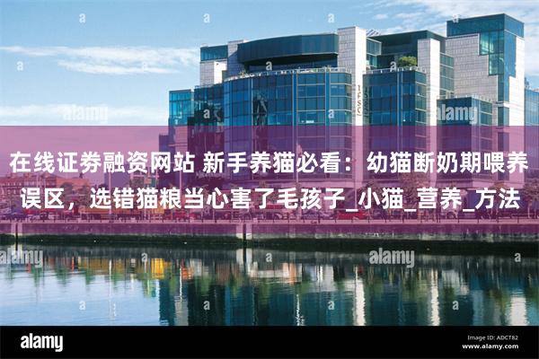 在线证劵融资网站 新手养猫必看：幼猫断奶期喂养误区，选错猫粮当心害了毛孩子_小猫_营养_方法