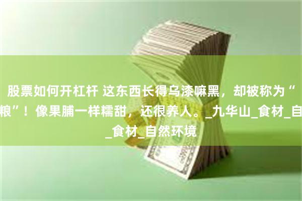 股票如何开杠杆 这东西长得乌漆嘛黑，却被称为“仙人余粮”！像果脯一样糯甜，还很养人。_九华山_食材_自然环境
