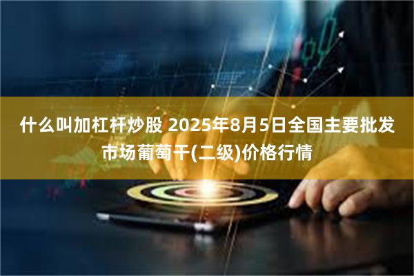 什么叫加杠杆炒股 2025年8月5日全国主要批发市场葡萄干(二级)价格行情