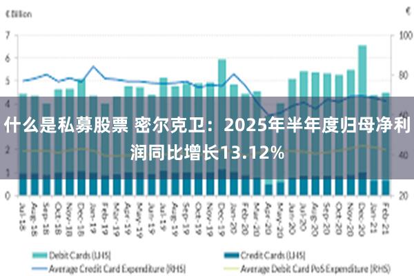 什么是私募股票 密尔克卫：2025年半年度归母净利润同比增长13.12%