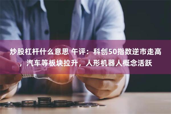 炒股杠杆什么意思 午评：科创50指数逆市走高，汽车等板块拉升，人形机器人概念活跃