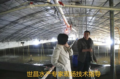 以先進(jìn)典型引領(lǐng)高效漁業(yè)發(fā)展——世昌股份大力培育特種水產(chǎn)養(yǎng)殖示范戶(hù)的實(shí)踐與探索