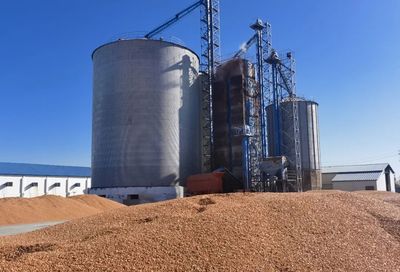 福海縣 科學(xué)配制“營(yíng)養(yǎng)大餐”，助力畜牧業(yè)提質(zhì)增效